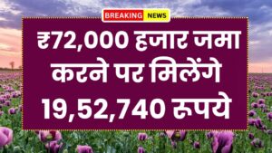 Post Office PPF Scheme: ₹72,000 हजार जमा करने पर मिलेंगे 19,52,740 रूपये