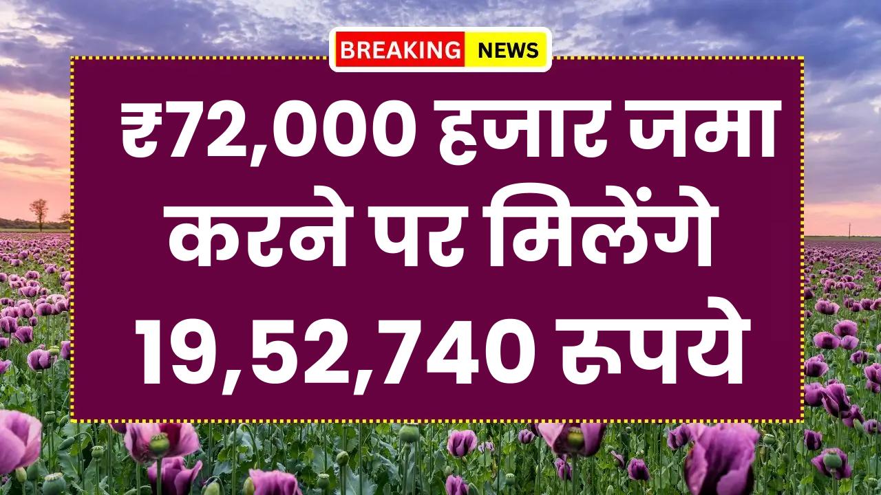 Post Office PPF Scheme: ₹72,000 हजार जमा करने पर मिलेंगे 19,52,740 रूपये