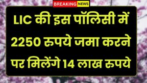 LIC की इस पॉलिसी में 2250 रुपये जमा करने पर मिलेंगे 14 लाख रुपये, नॉमिनी को भी मिलेंगे 10 लाख रुपये