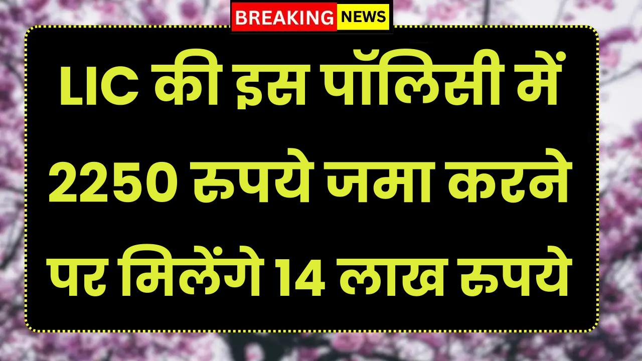 LIC की इस पॉलिसी में 2250 रुपये जमा करने पर मिलेंगे 14 लाख रुपये, नॉमिनी को भी मिलेंगे 10 लाख रुपये